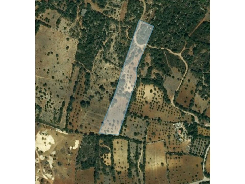Helårsgrund i Sao Bras de Alportel, Faro - foto 2