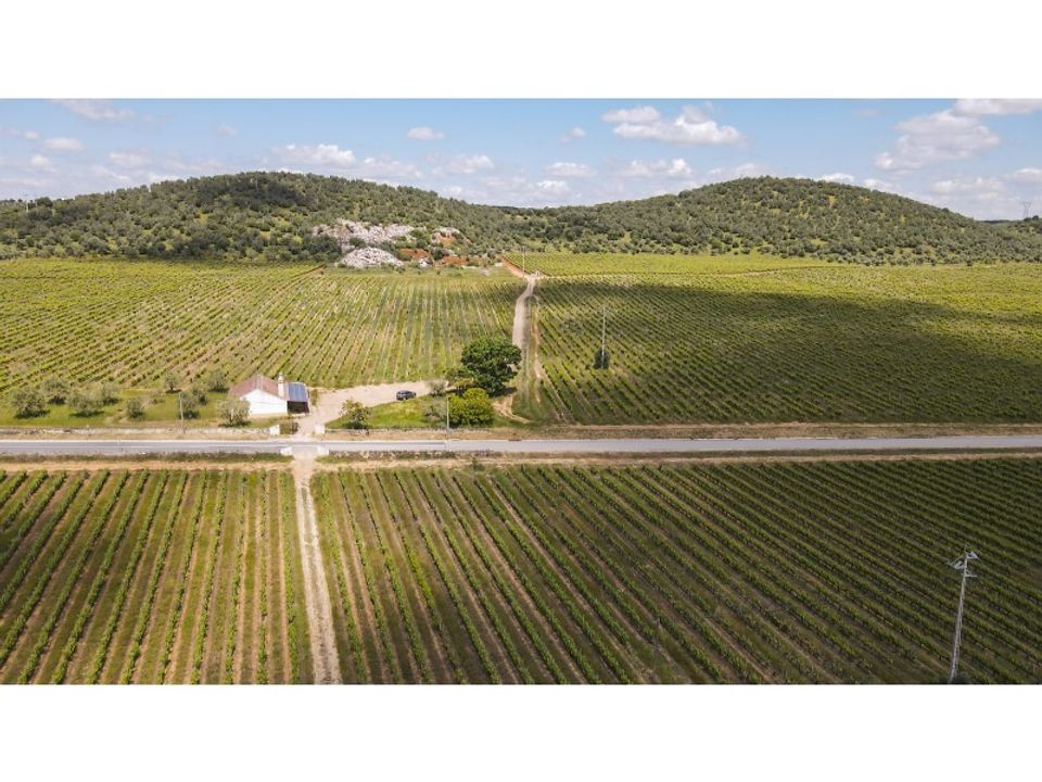 Farm i Estremoz, Evora - foto 4