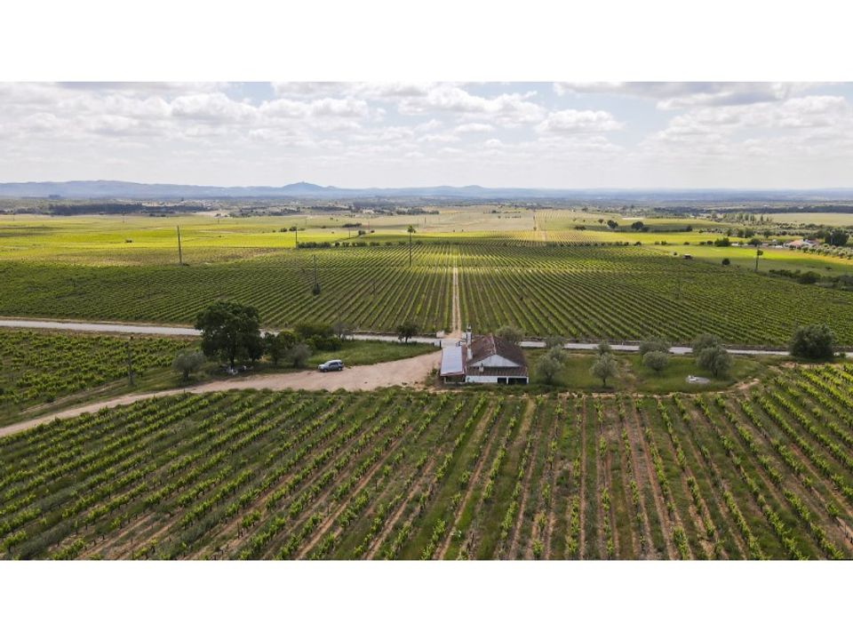 Farm i Estremoz, Evora - foto 5
