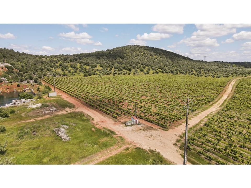 Farm i Estremoz, Evora - foto 3