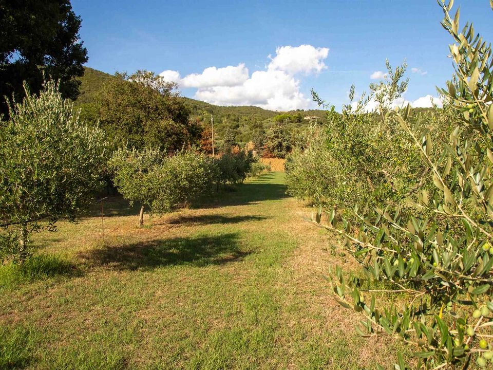 Farm hus i Valfabbrica, Perugia - foto 4