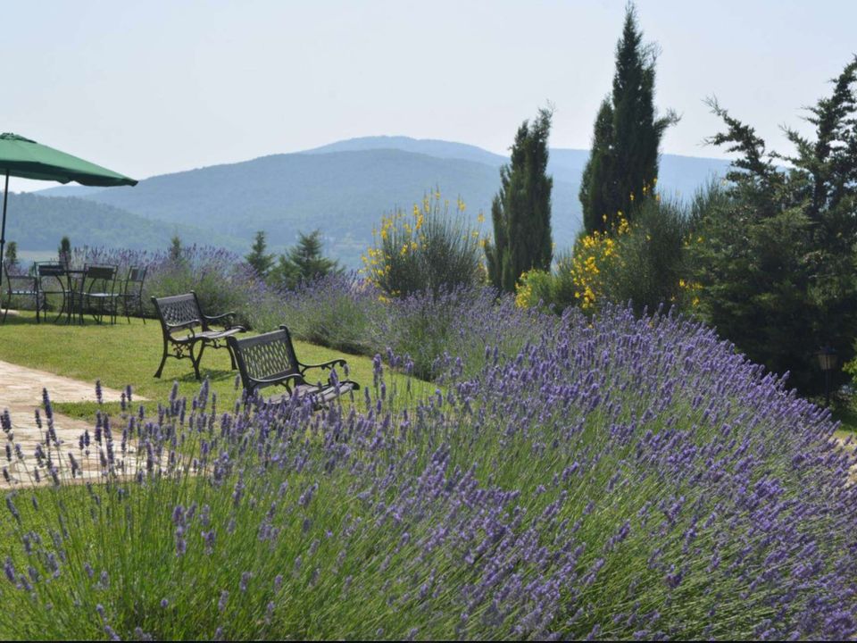 Farm hus i Monticchiello, Siena - foto 2