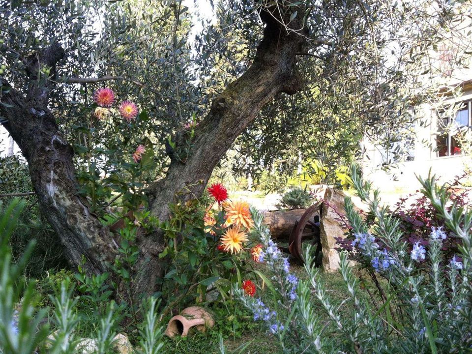 Farm hus i Passignano Sul Trasimeno, Perugia - foto 5