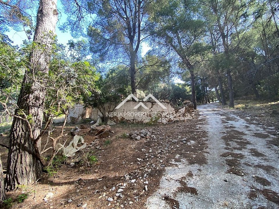 Tomt i Frigiliana, Malaga - bilde 2