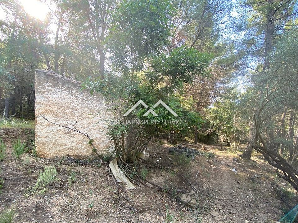 Tomt i Frigiliana, Malaga - bilde 3