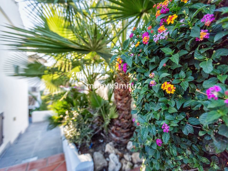 Villa i El Chaparral, Malaga - foto 4