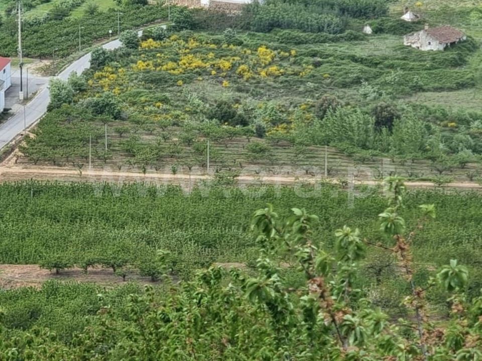 Helårsgrund i Fundao, Castelo Branco - foto 1