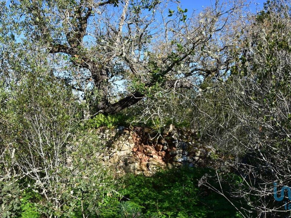 Byhus i Ourem, Santarem - foto 5