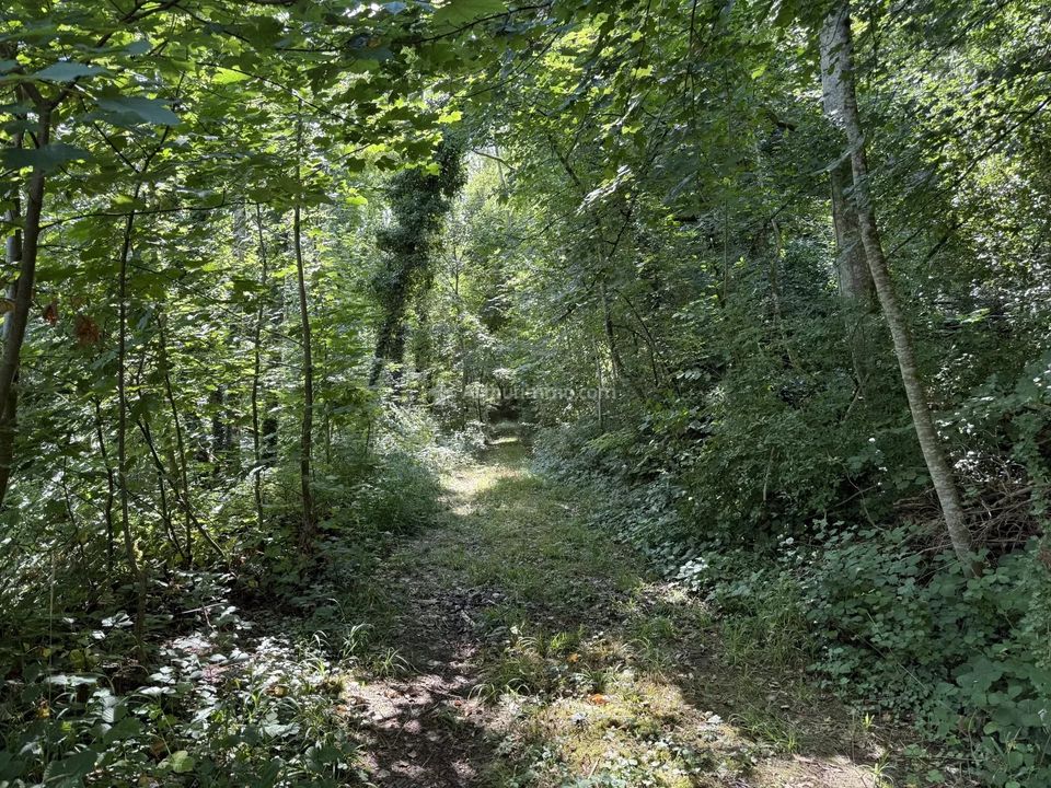 Helårsgrund i Nijon, Haute-Marne - foto 2