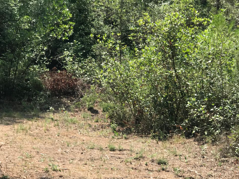 Finca i Benifallet, Tarragona - foto 5
