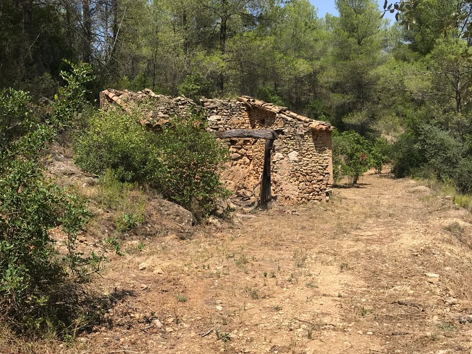 Finca i Benifallet, Tarragona - foto 1