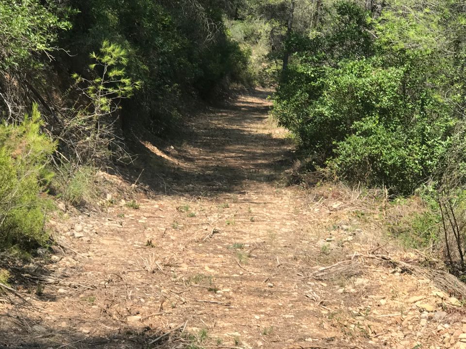 Finca i Benifallet, Tarragona - foto 3