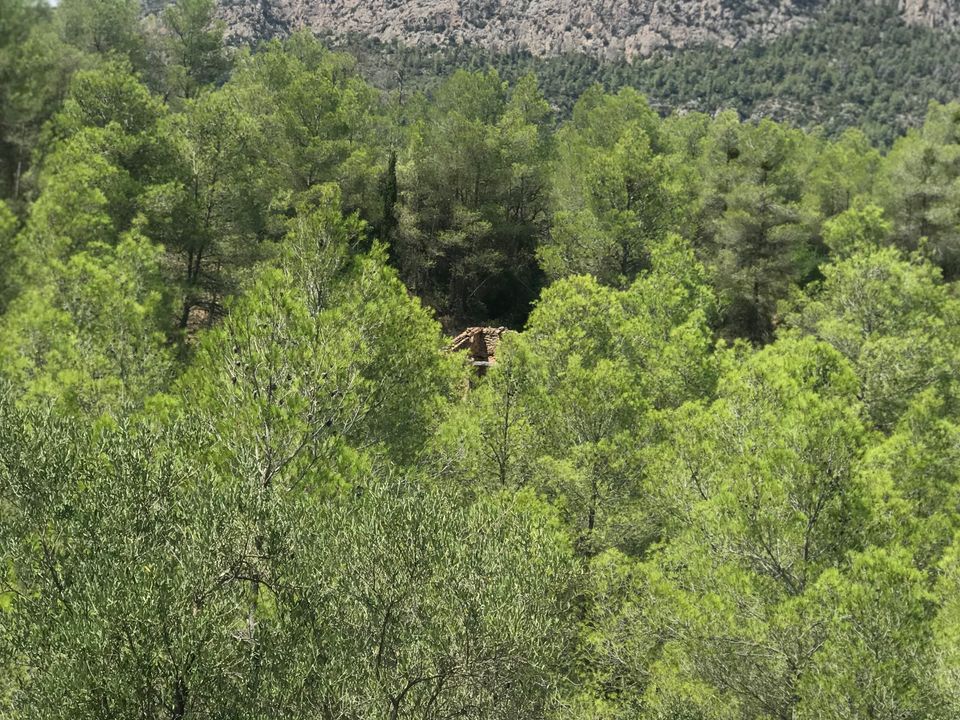 Finca i Benifallet, Tarragona - foto 2