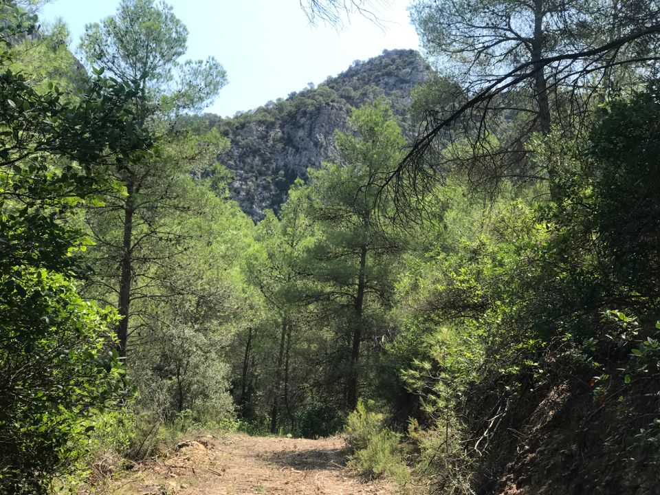 Finca i Benifallet, Tarragona - foto 4