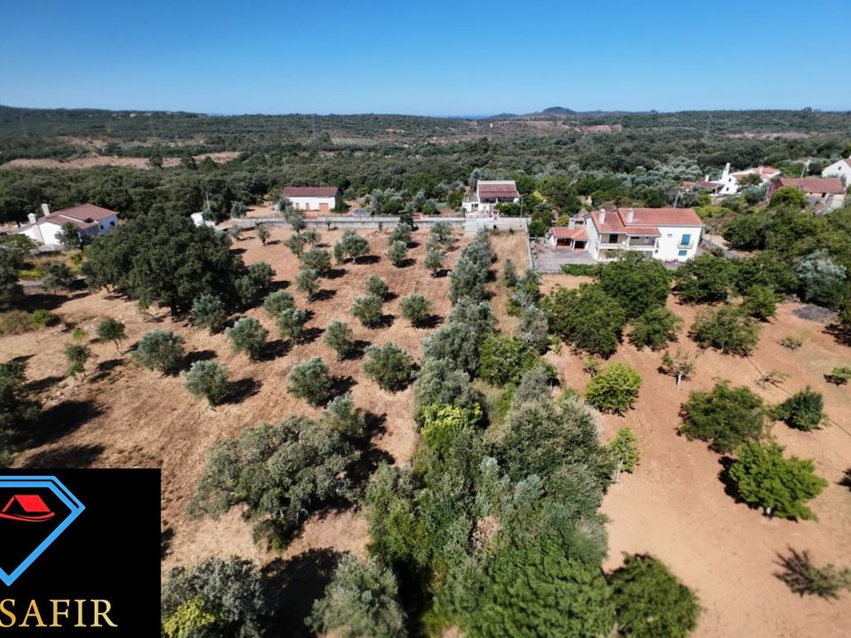 Helårsgrund i Ferreira do Zezere, Santarem - foto 5