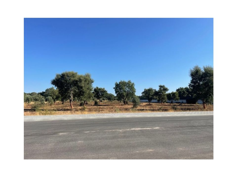 Erhvervsejendom i Ponte de Sor, Portalegre - foto 2