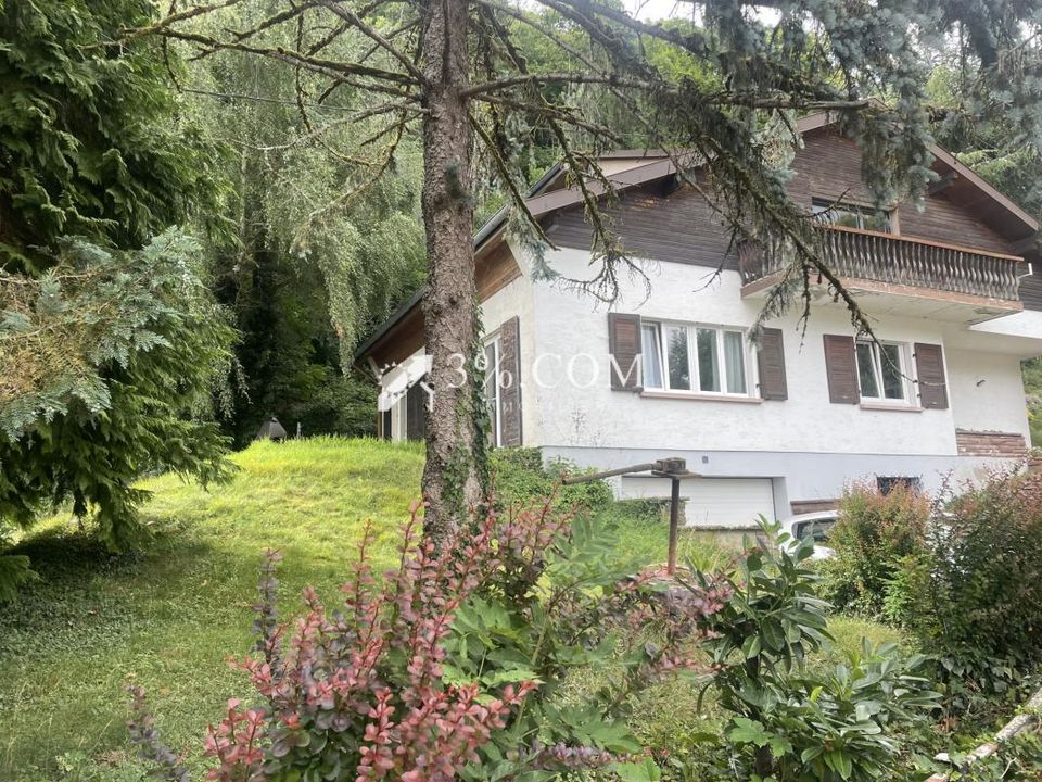 Villa i Sainte-Croix-aux-Mines, Haut-Rhin - foto 1