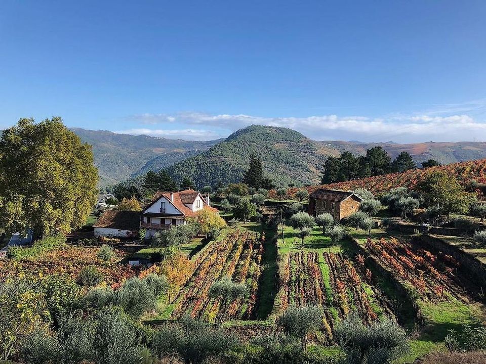 Helårsgrund i Alijo, Vila Real - foto 1