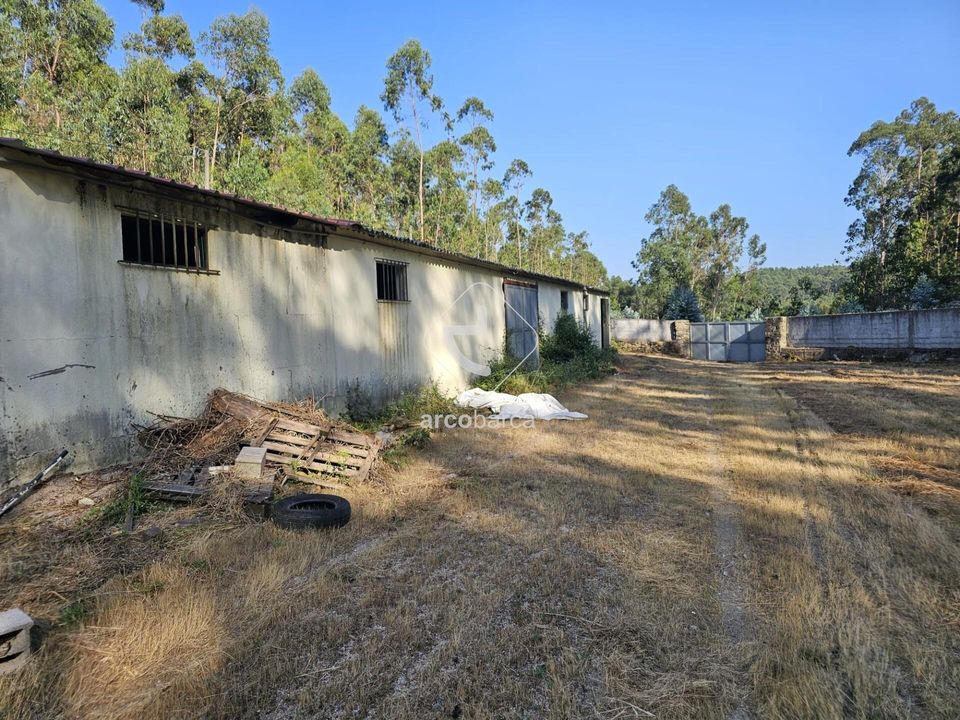 Propriedade comercial em Ponte de Lima, Viana do Castelo - foto 5