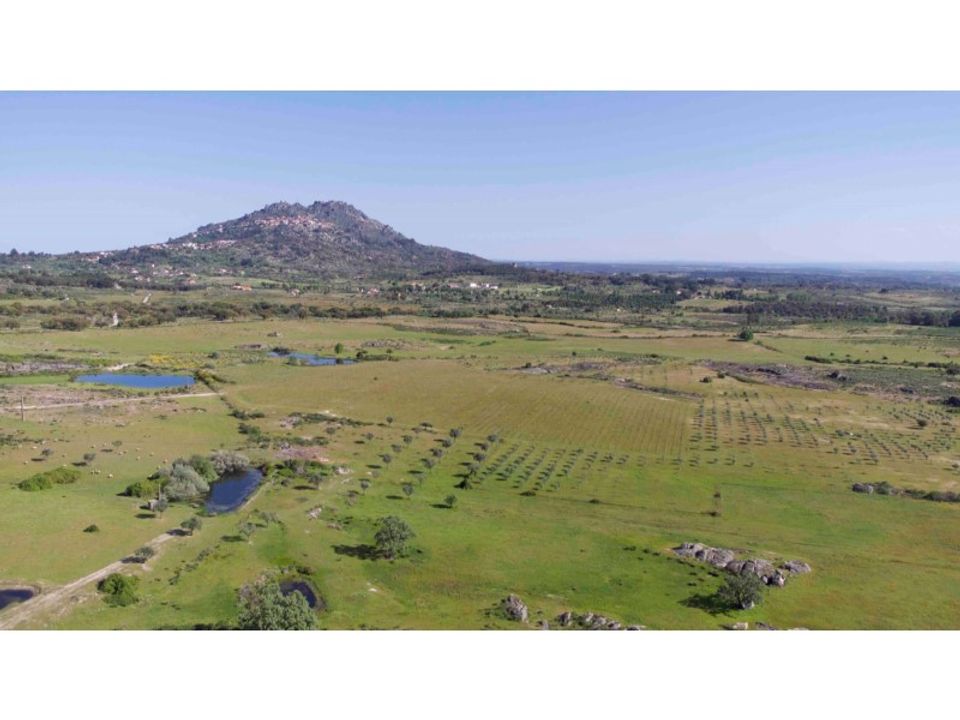 Farm i Monsanto e Idanha-a-Velha, Castelo Branco - foto 3