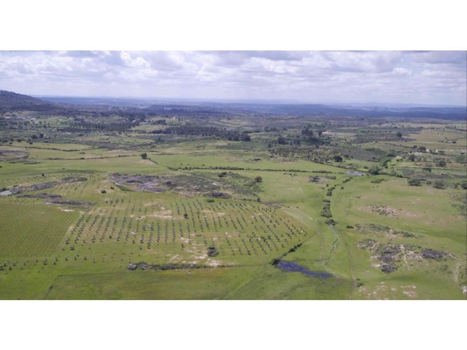 Farm i Monsanto e Idanha-a-Velha, Castelo Branco - foto 4