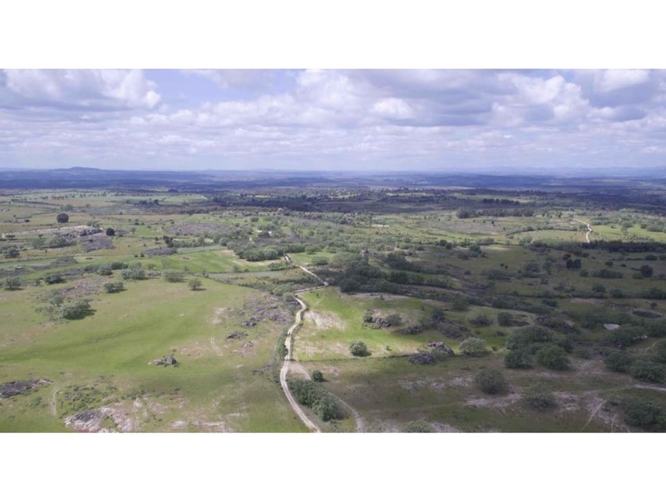Farm i Monsanto e Idanha-a-Velha, Castelo Branco - foto 5