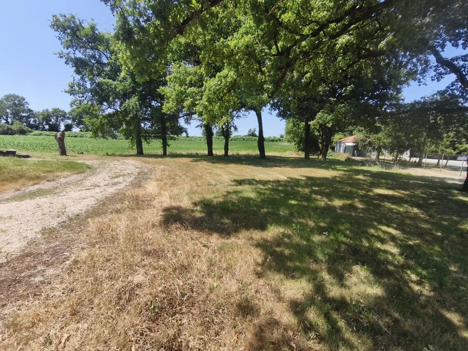 Villa a Nesmy, Vendee - foto 2