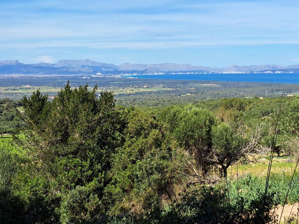 Landejendom i Sant Llorenc Des Cardassar, Mallorca - foto 3
