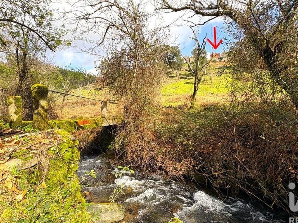 Byhus i Figueiro dos Vinhos, Leiria - foto 3