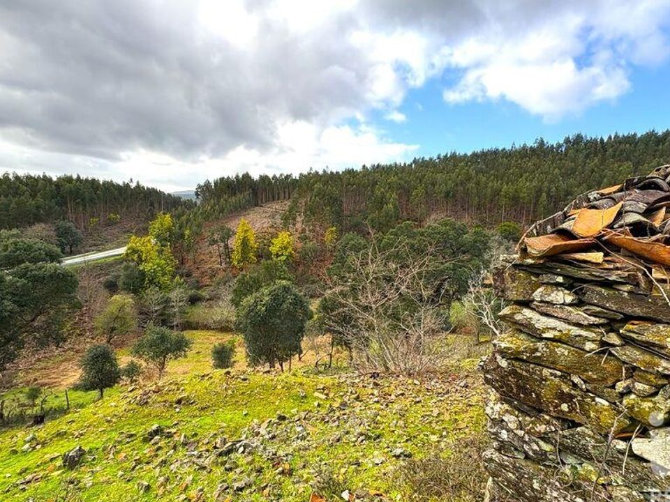 Byhus i Figueiro dos Vinhos, Leiria - foto 4