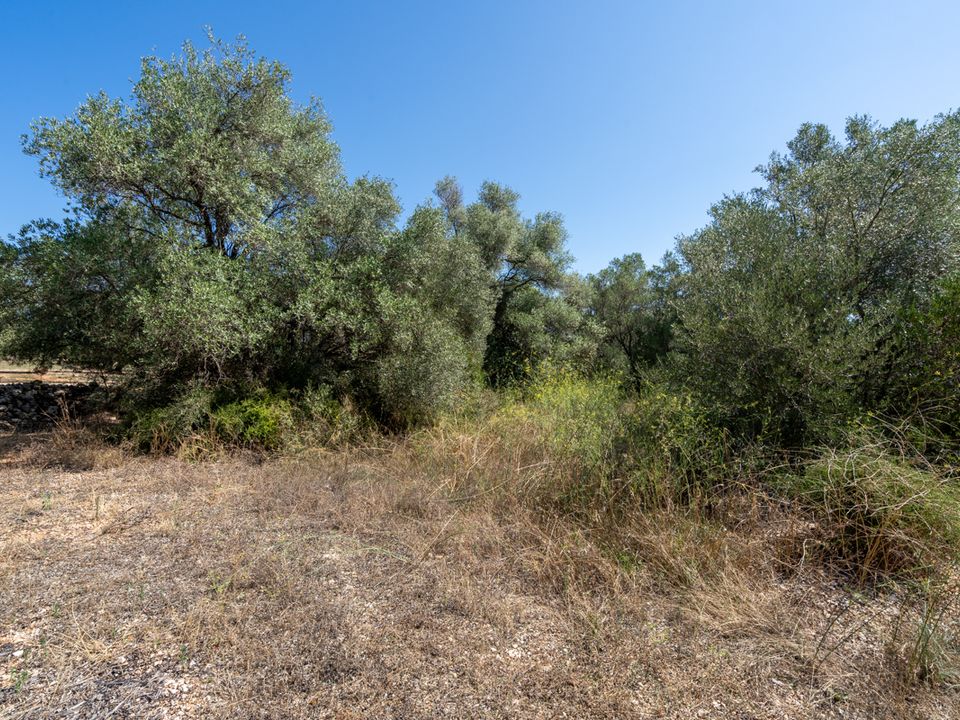 Finca en Mas De Barberans, Tarragona - foto 3