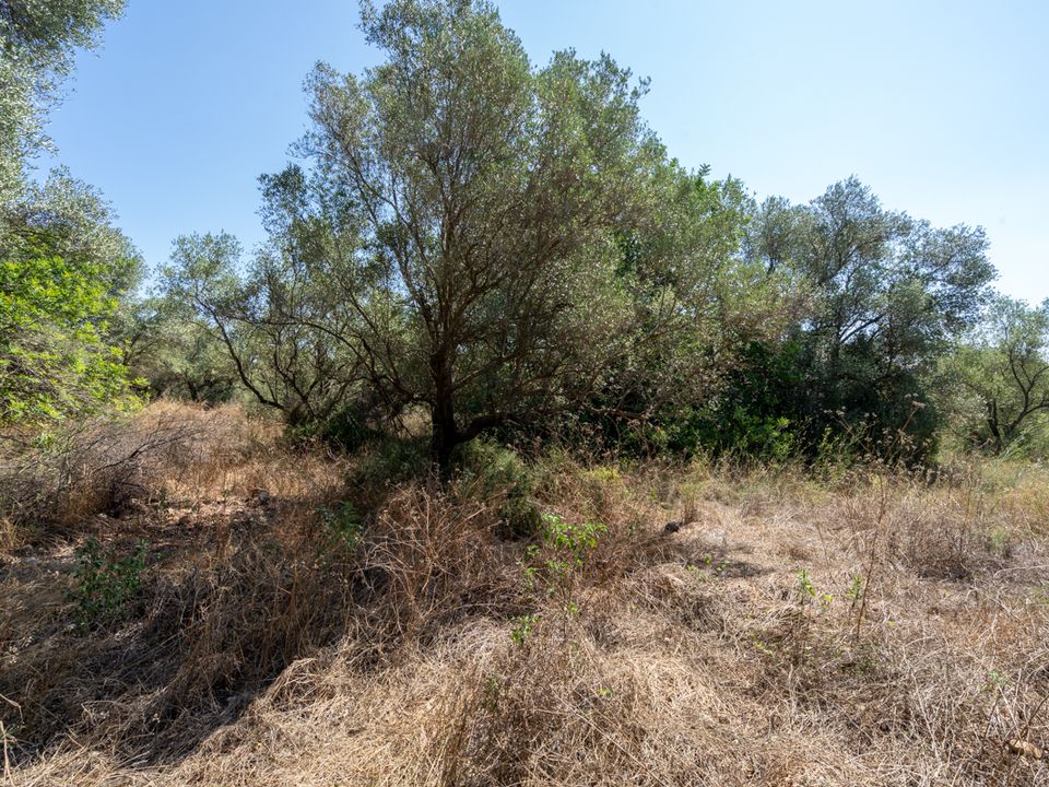 Finca en Mas De Barberans, Tarragona - foto 5