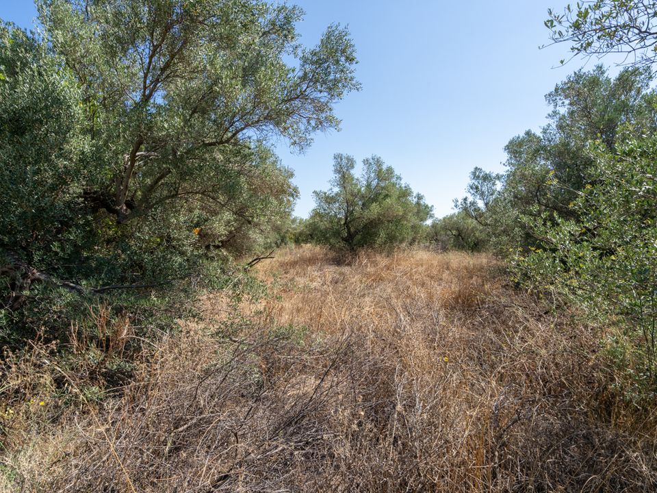 Finca en Mas De Barberans, Tarragona - foto 1