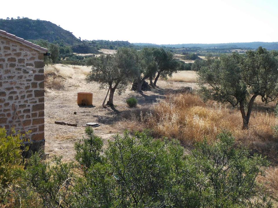 Finca a Caspe, Zaragoza - foto 5