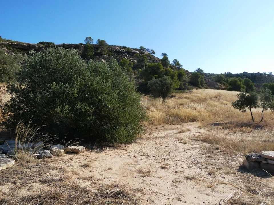 Finca a Caspe, Zaragoza - foto 2