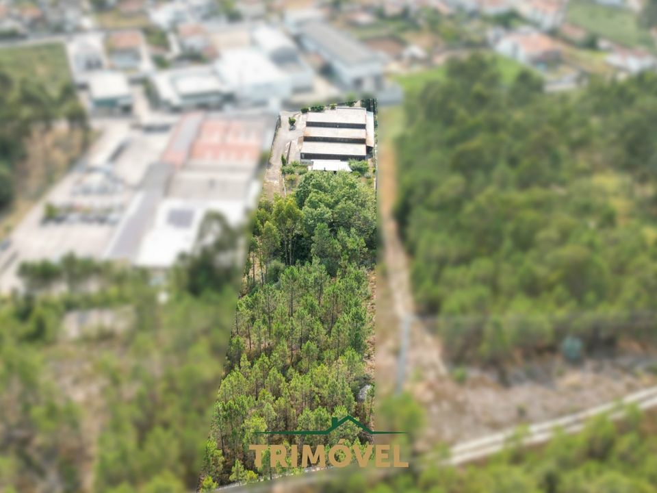 Erhvervsejendom i Oliveira de Azemeis, Aveiro - foto 2