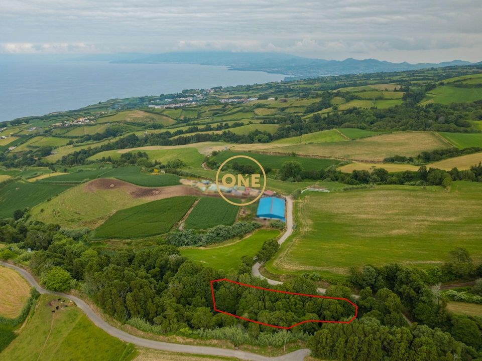 Helårsgrund i Ponta Delgada, Sao Miguel - foto 4