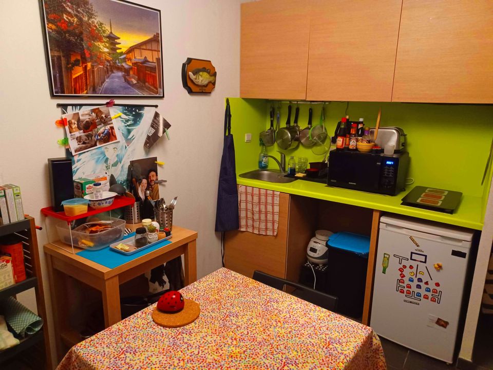 Studio i Castelnau-le-Lez, Herault - foto 3