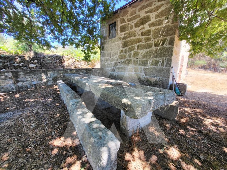 Gård i Penalva do Castelo, Viseu - bilde 1