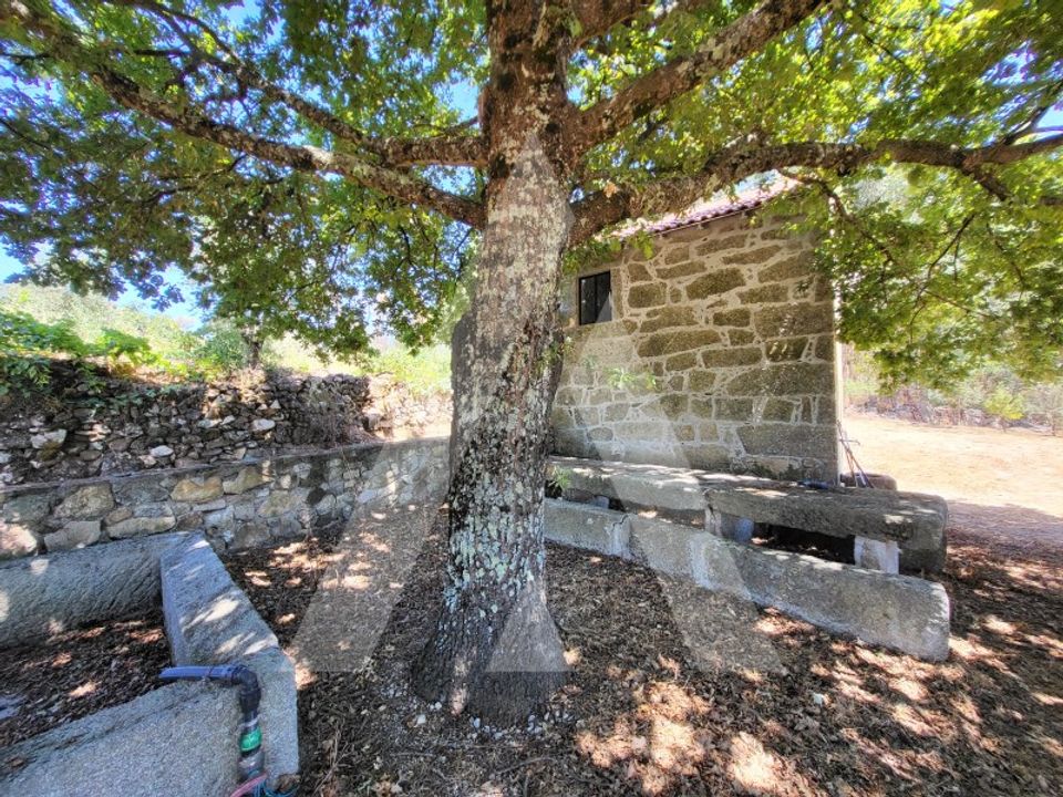 Gård i Penalva do Castelo, Viseu - bilde 2