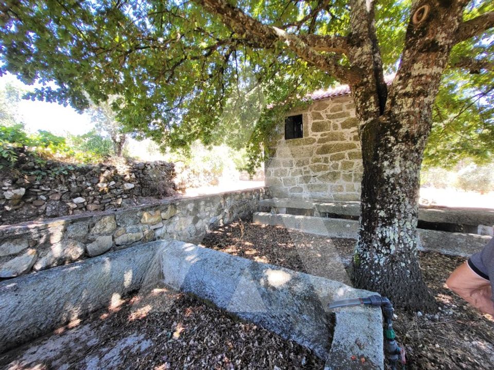 Gård i Penalva do Castelo, Viseu - bilde 3