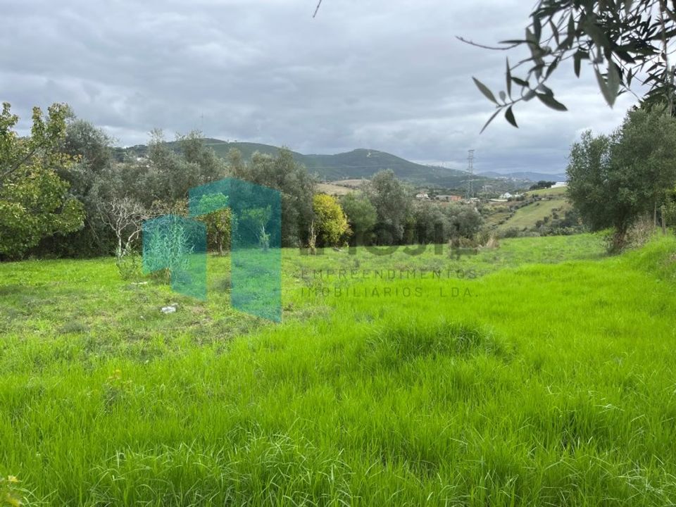 Helårsgrund i Leiria, Leiria - foto 2