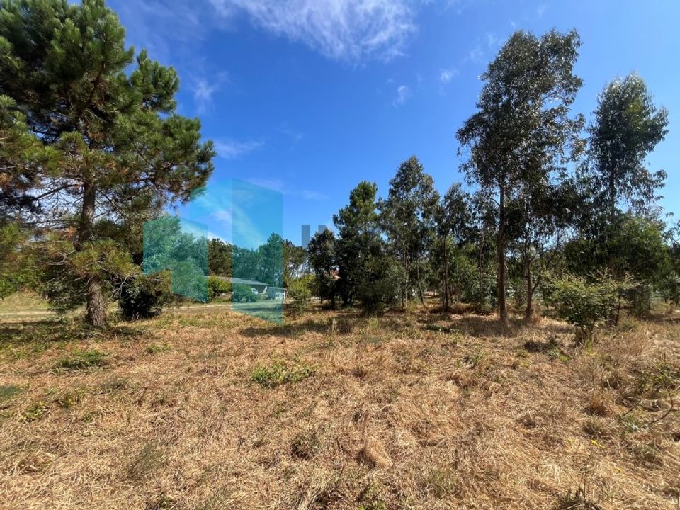 Helårsgrund i Monte Real, Leiria - foto 2