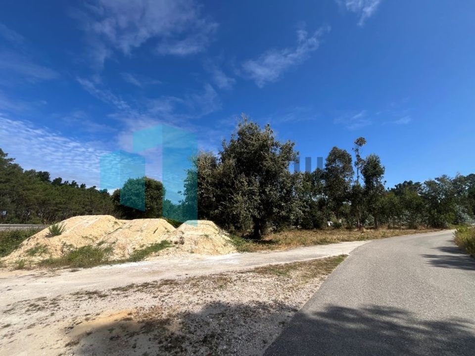 Helårsgrund i Monte Real, Leiria - foto 4
