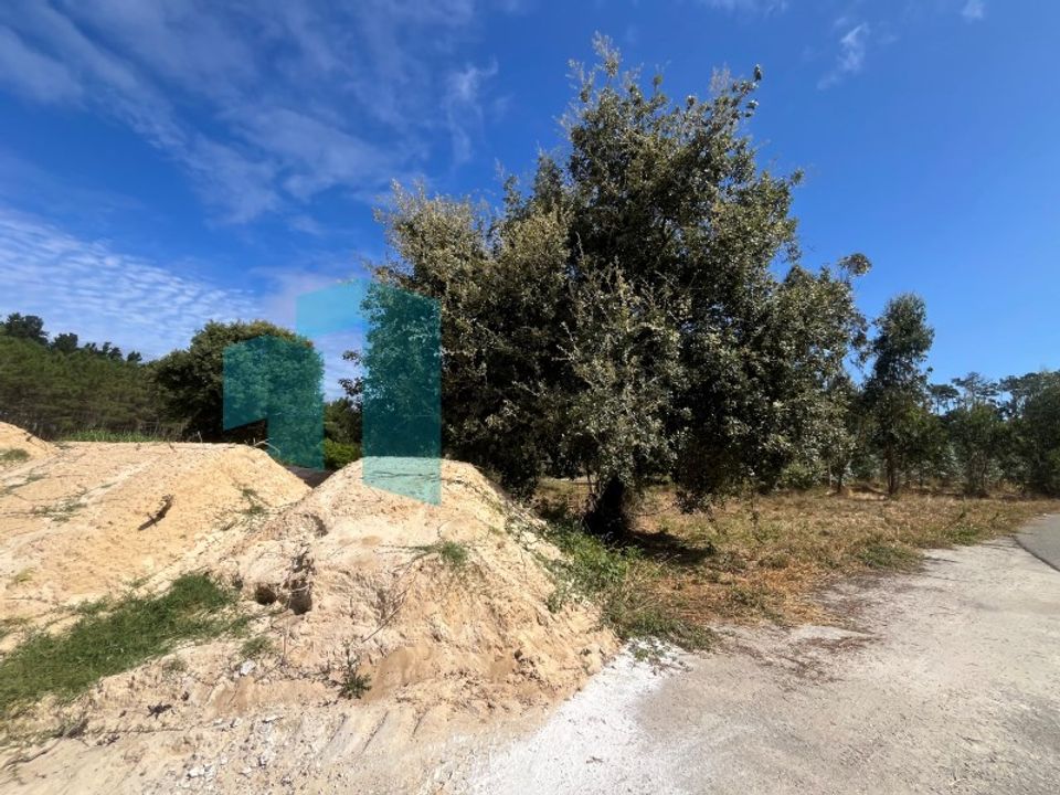 Helårsgrund i Monte Real, Leiria - foto 5