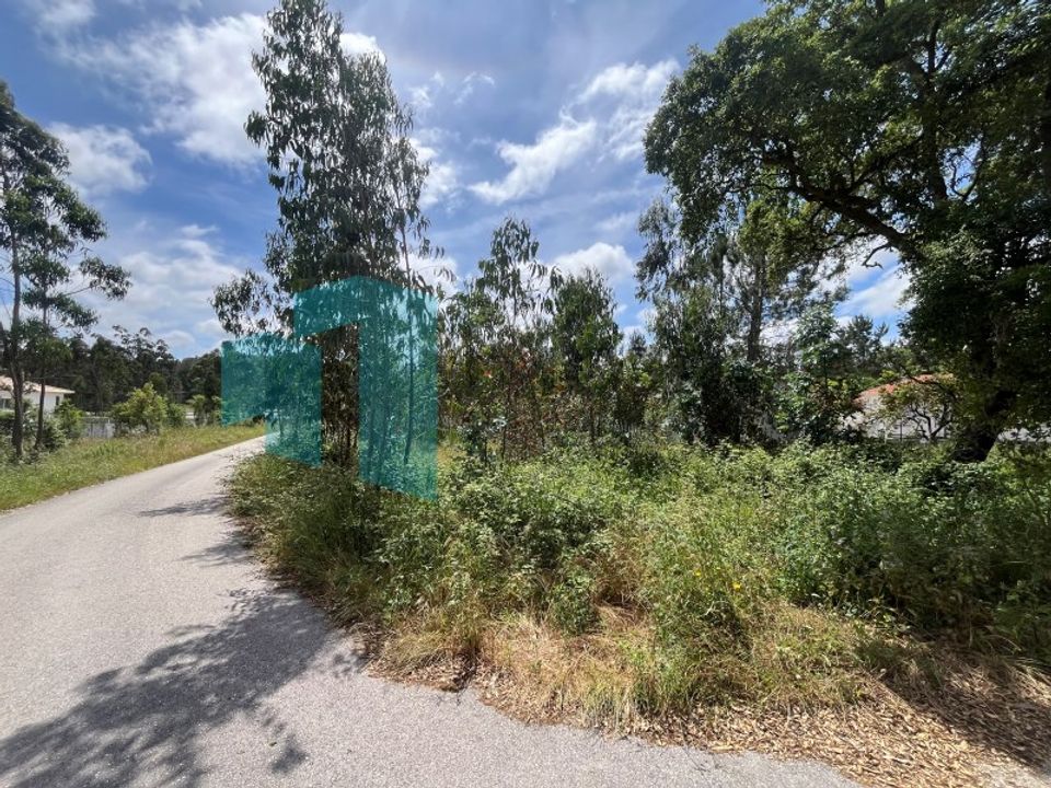 Tomt i Monte Real, Leiria - bilde 2