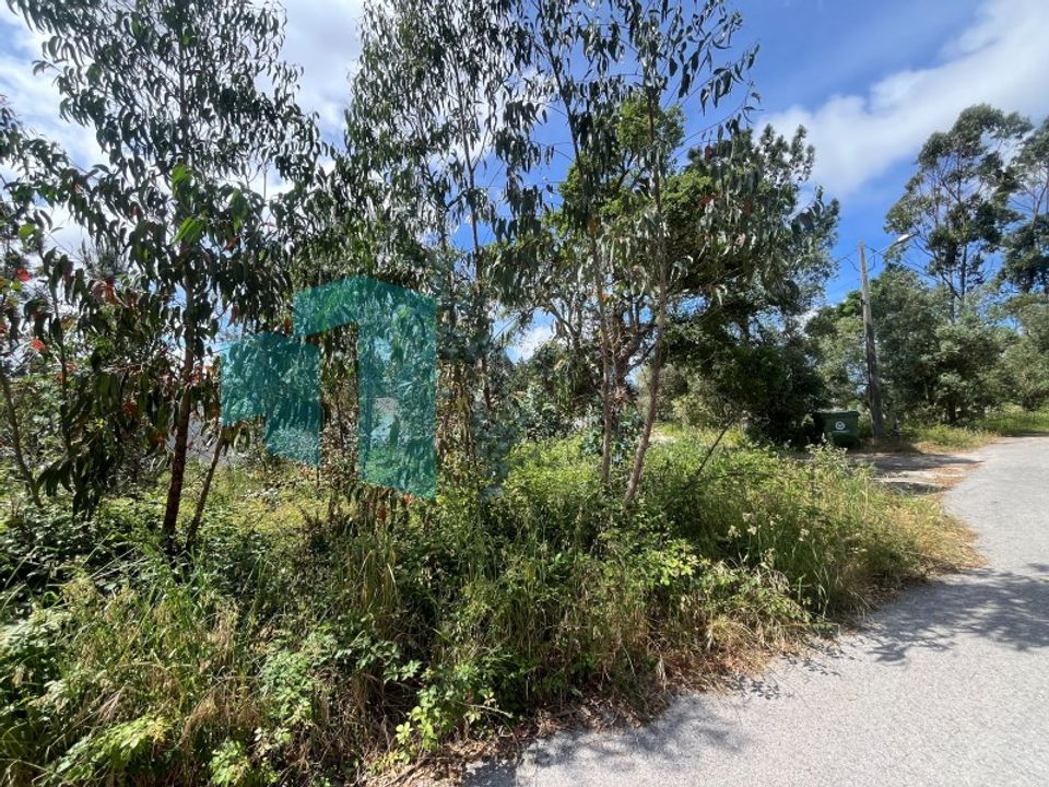 Tomt i Monte Real, Leiria - bilde 4