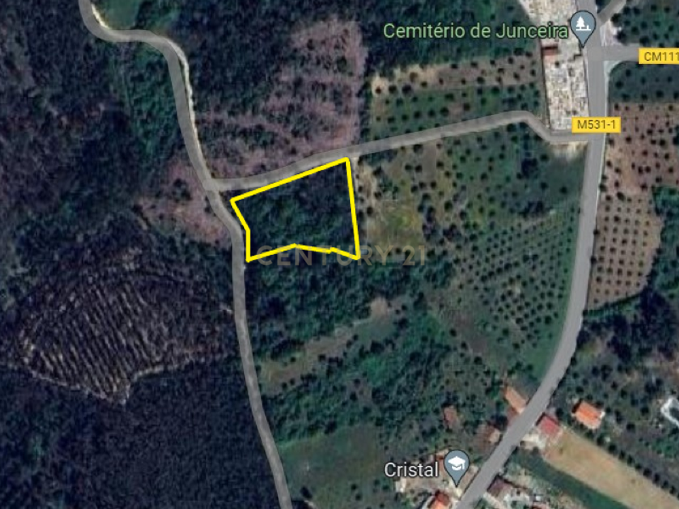 Helårsgrund i Tomar, Santarem - foto 1