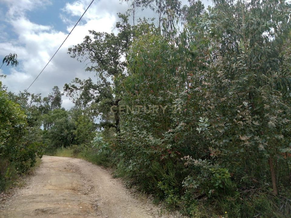 Helårsgrund i Tomar, Santarem - foto 5