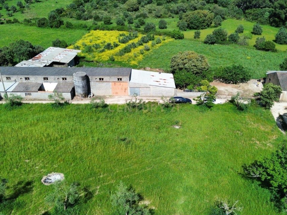 Helårsgrund i Pombal, Leiria - foto 2